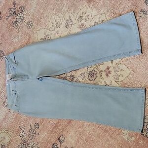 Denim & Co A258929 Lightwash Cotton Stretchy Straight Leg Vintage Jeans Size 10P